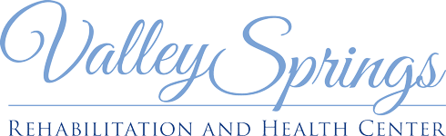 Valley-Springs-logo